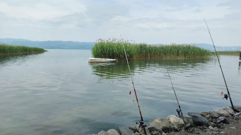 Alcedo Bungalov fotoğraf 3