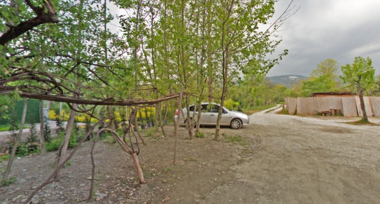 Alcedo Bungalov fotoğraf 4