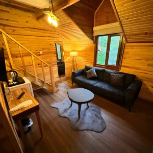 boğaz bungalov sapanca sakarya fotoğrafı 5