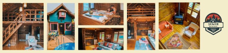 SAPANCA ŞEKER BUNGALOV fotoğraf 2