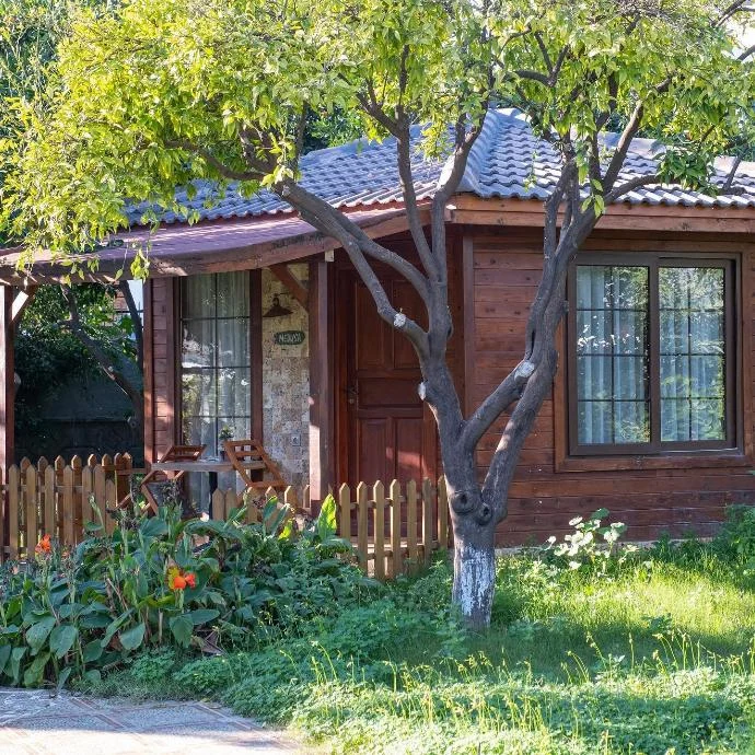 Mandarin Bungalow alanya bungalow fotoğrafı 7