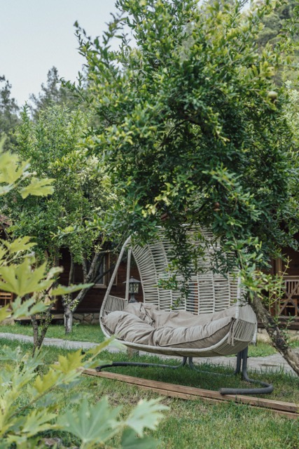 Alanya Bungalov Evleri fotoğrafı