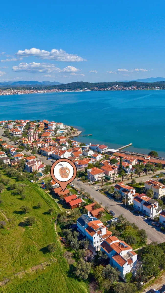 Milo Cunda ayvalik bungalow fotoğrafı 5