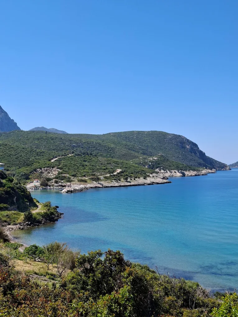 Hayela Bungalov Pansiyon ve Restourant fotoğrafı