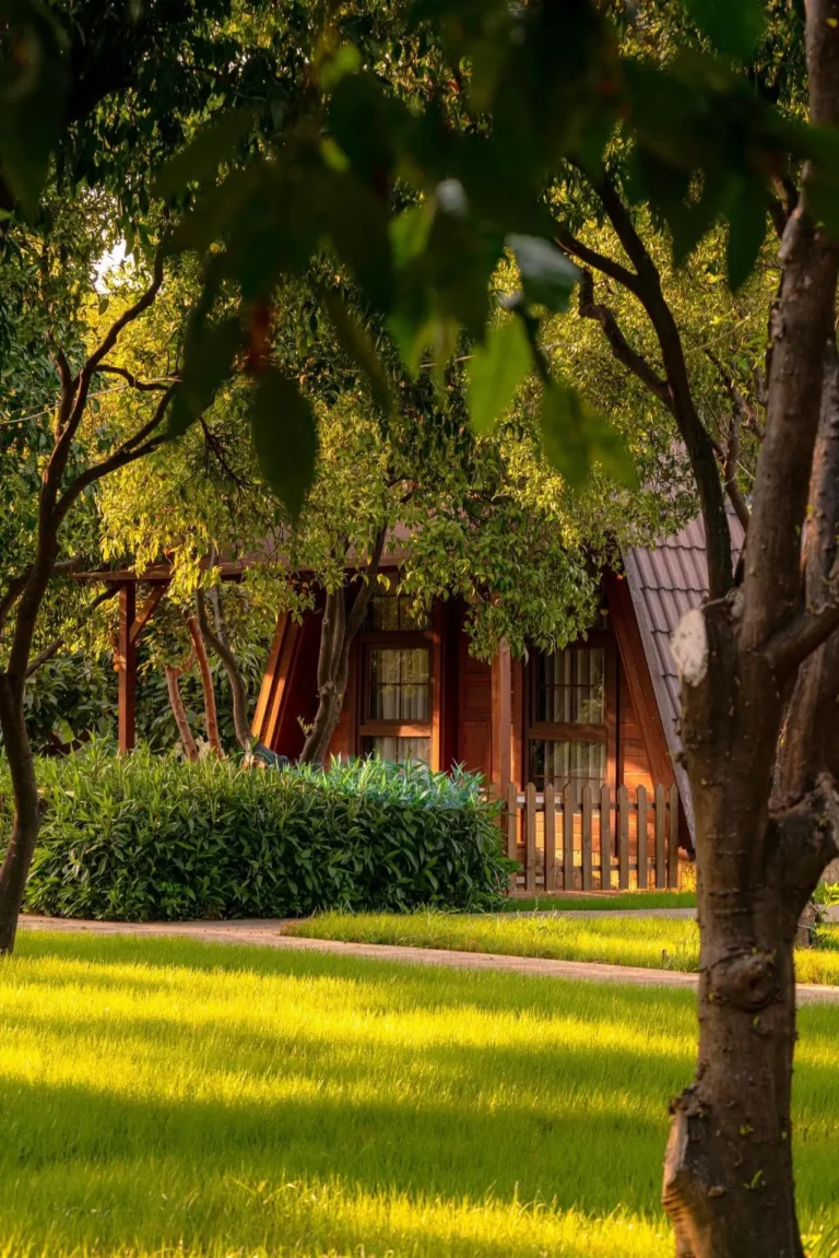 Mandarin Bungalow fotoğrafı