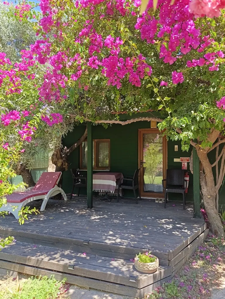 My Bungalov fotoğrafı