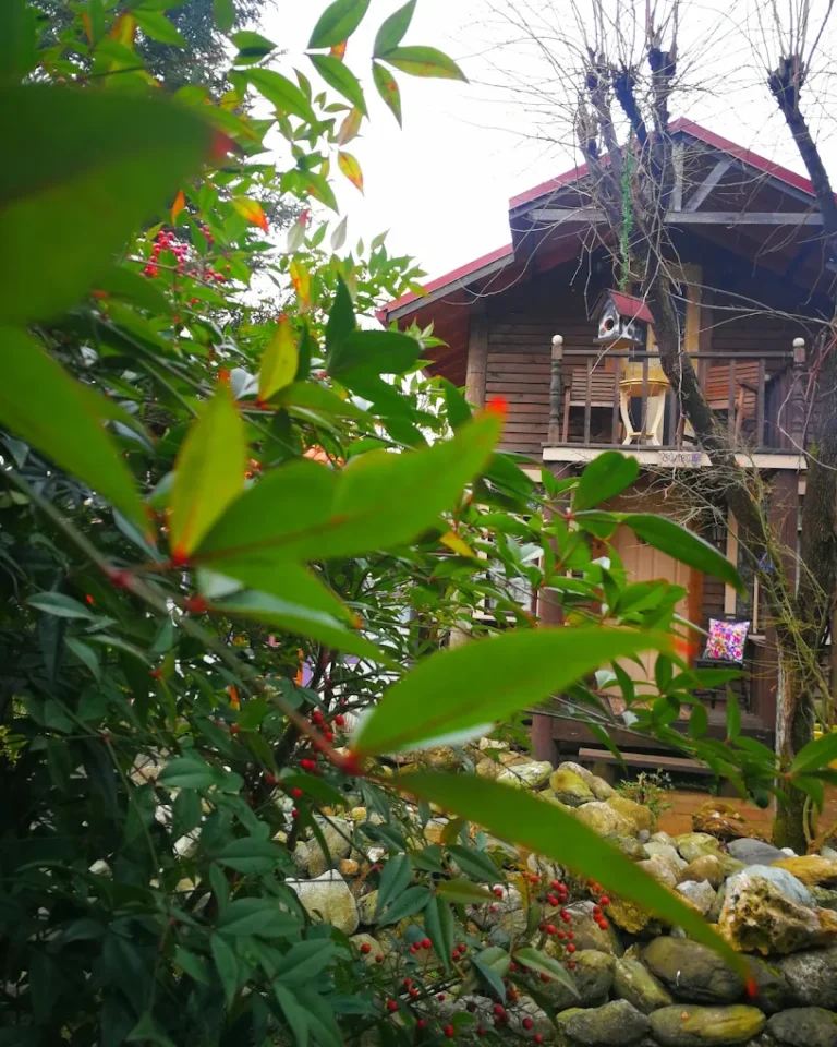 Yener Bungalov fotoğrafı